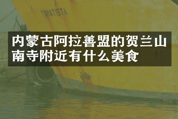 内蒙古阿拉善盟的贺兰山南寺附近有什么美食