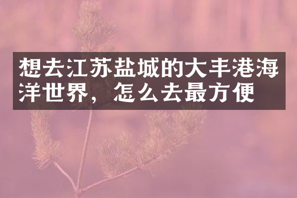 想去江苏盐城的大丰港海洋世界，怎么去最方便