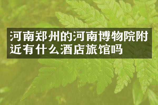 河南郑州的河南博物院附近有什么酒店旅馆吗