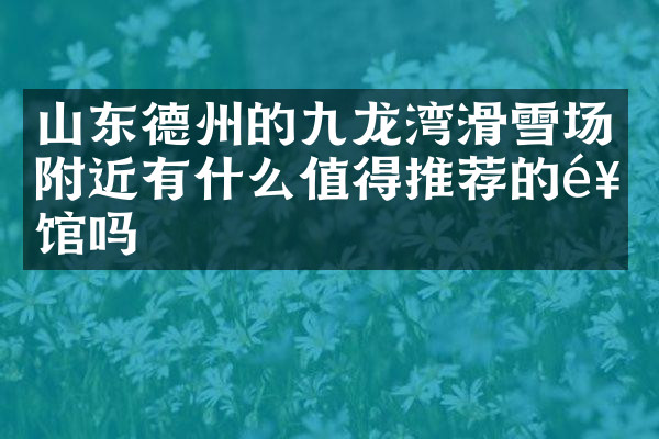 山东德州的九龙湾滑雪场附近有什么值得推荐的饭馆吗
