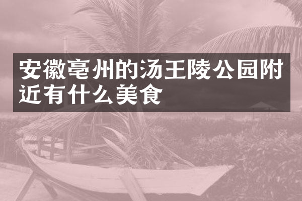安徽亳州的汤王陵公园附近有什么美食
