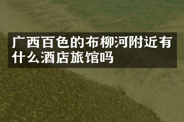 广西百色的布柳河附近有什么酒店旅馆吗