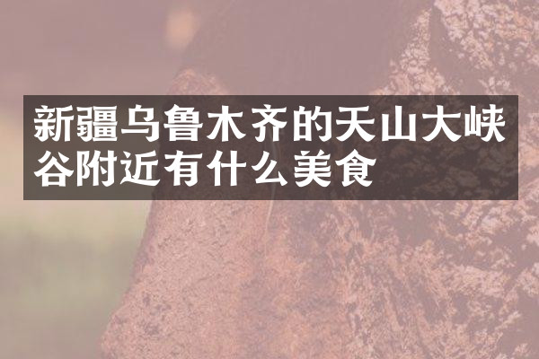 新疆乌鲁木齐的天山大峡谷附近有什么美食
