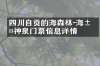 四川自贡的燊海森林-海汤神泉门票信息详情