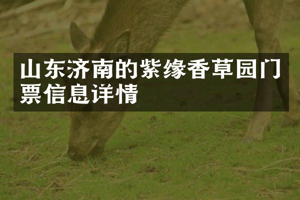 山东济南的紫缘香草园门票信息详情