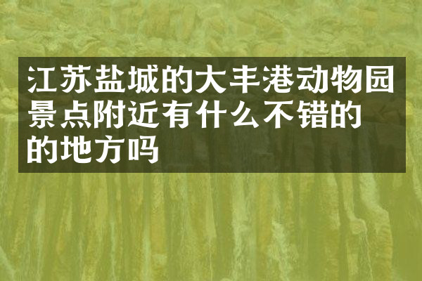 江苏盐城的大丰港动物园景点附近有什么不错的住的地方吗