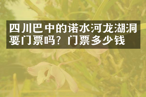四川巴中的诺水河龙湖洞要门票吗？门票多少钱？