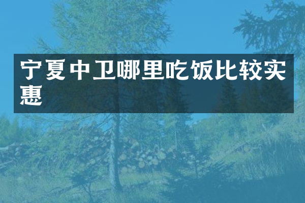 宁夏中卫哪里吃饭比较实惠