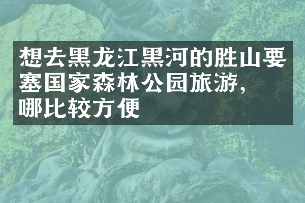 想去黑龙江黑河的胜山要塞国家森林公园旅游，住哪比较方便