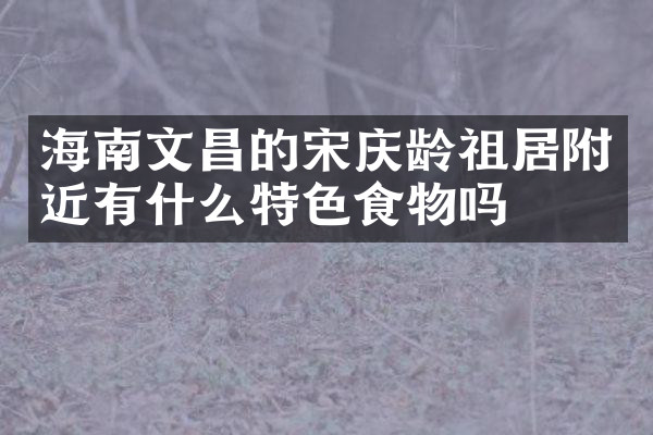 海南文昌的宋庆龄祖居附近有什么特色食物吗