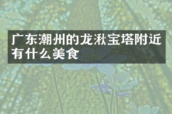 广东潮州的龙湫宝塔附近有什么美食