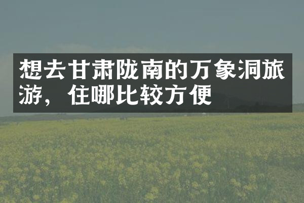 想去甘肃陇南的万象洞旅游，住哪比较方便