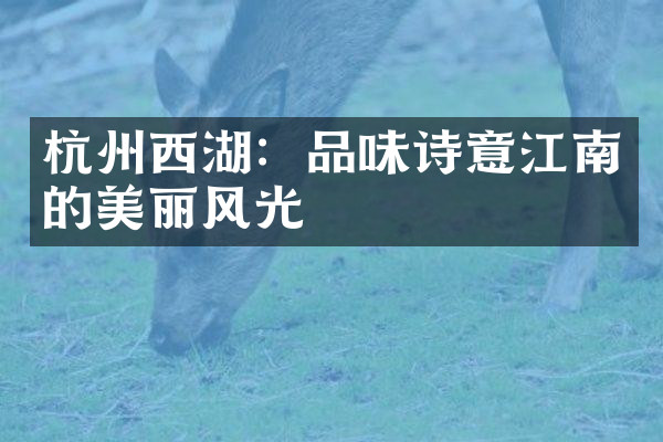 杭州西湖：品味诗意江南的美丽风光