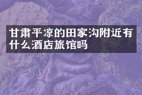 甘肃平凉的田家沟附近有什么酒店旅馆吗