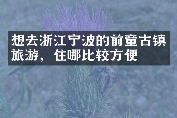 想去浙江宁波的前童古镇旅游，住哪比较方便