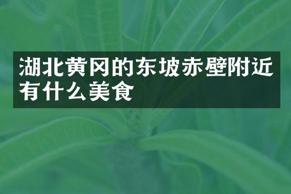 湖北黄冈的东坡赤壁附近有什么美食