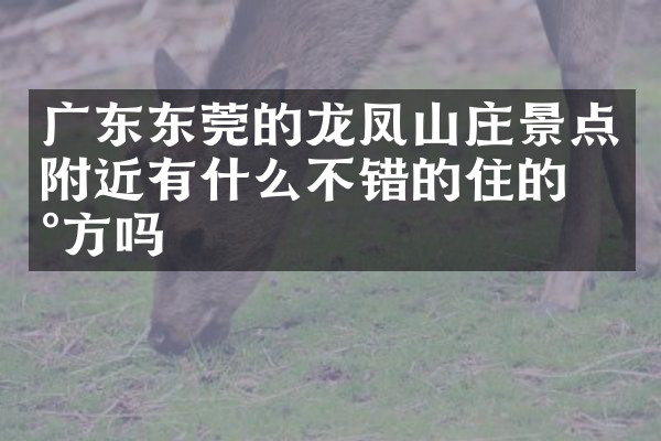 广东东莞的龙凤山庄景点附近有什么不错的住的地方吗