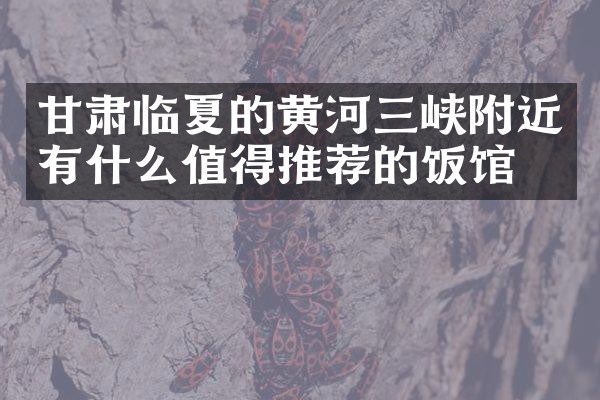 甘肃临夏的黄河三峡附近有什么值得推荐的饭馆吗