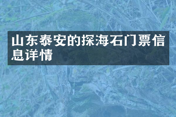 山东泰安的探海石门票信息详情