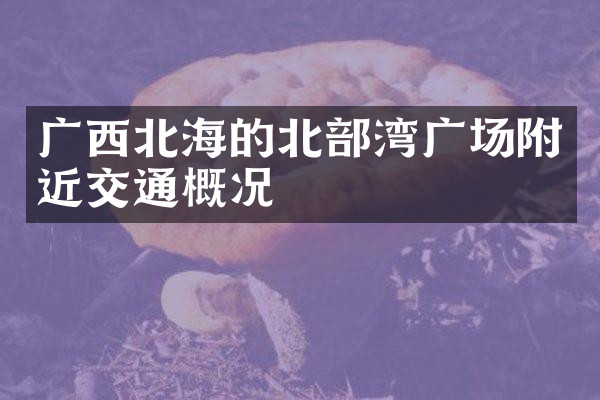 广西北海的北部湾广场附近交通概况