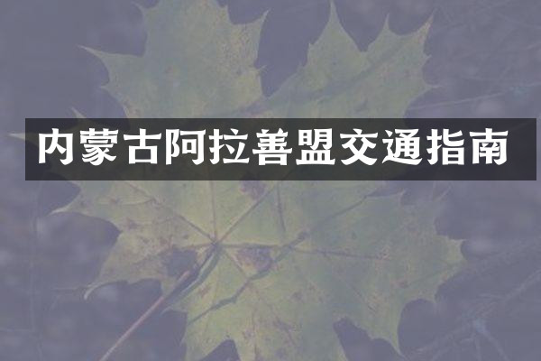 内蒙古阿拉善盟交通指南