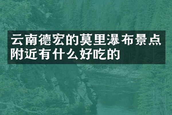 云南德宏的莫里瀑布景点附近有什么好吃的