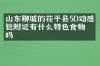 山东聊城的茌平县5D动感体验附近有什么特色食物吗