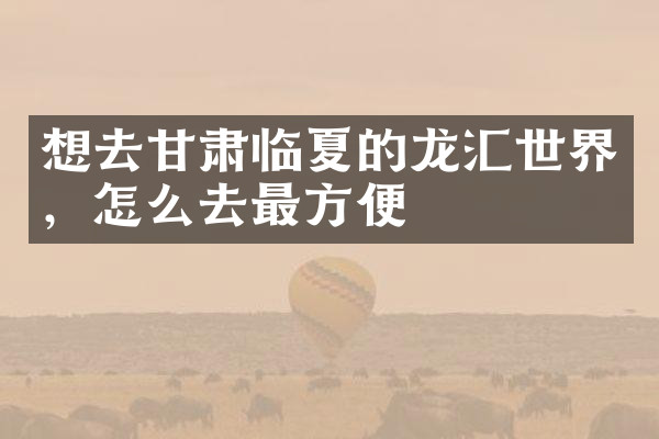 想去甘肃临夏的龙汇世界，怎么去最方便