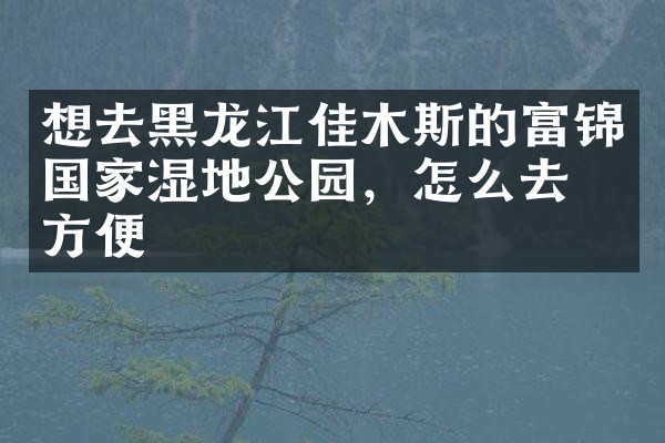 想去黑龙江佳木斯的富锦国家湿地公园，怎么去最方便