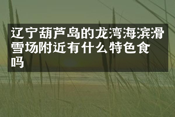 辽宁葫芦岛的龙湾海滨滑雪场附近有什么特色食物吗