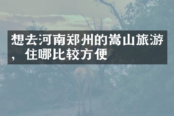 想去河南郑州的嵩山旅游，住哪比较方便