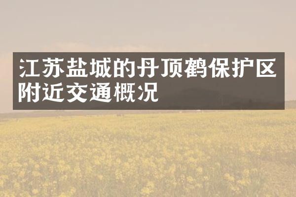 江苏盐城的丹顶鹤保护区附近交通概况