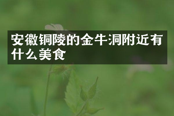 安徽铜陵的金牛洞附近有什么美食