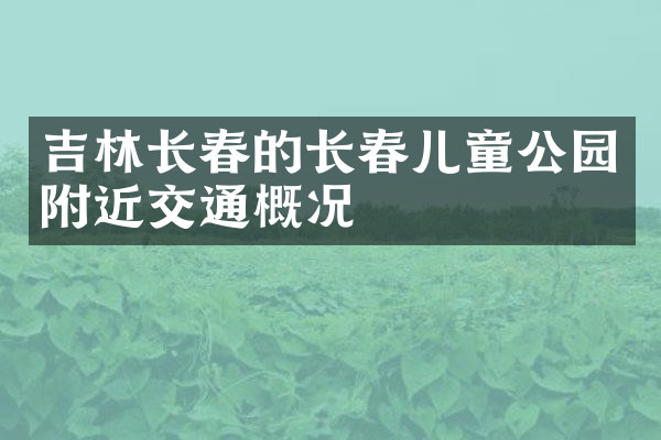 吉林长春的长春儿童公园附近交通概况