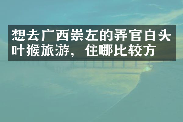 想去广西崇左的弄官白头叶猴旅游，住哪比较方便