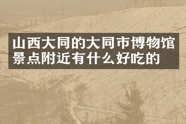 山西大同的大同市博物馆景点附近有什么好吃的