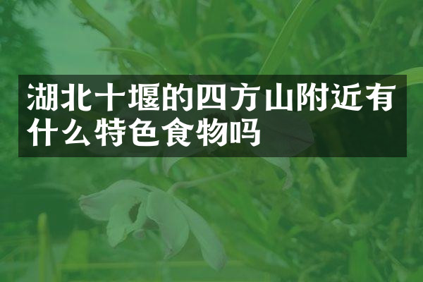 湖北十堰的四方山附近有什么特色食物吗