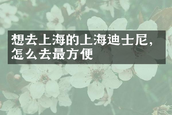 想去上海的上海迪士尼，怎么去最方便
