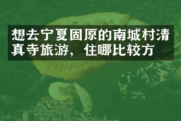 想去宁夏固原的南城村清真寺旅游，住哪比较方便
