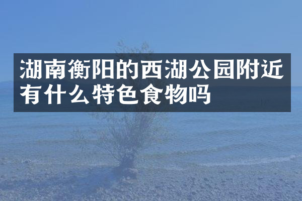 湖南衡阳的西湖公园附近有什么特色食物吗