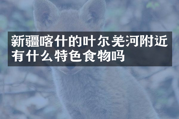 新疆喀什的叶尔羌河附近有什么特色食物吗