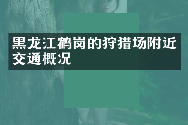 黑龙江鹤岗的狩猎场附近交通概况