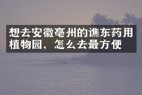 想去安徽亳州的谯东药用植物园，怎么去最方便