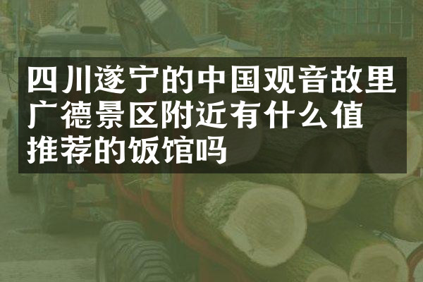 四川遂宁的中国观音故里广德景区附近有什么值得推荐的饭馆吗