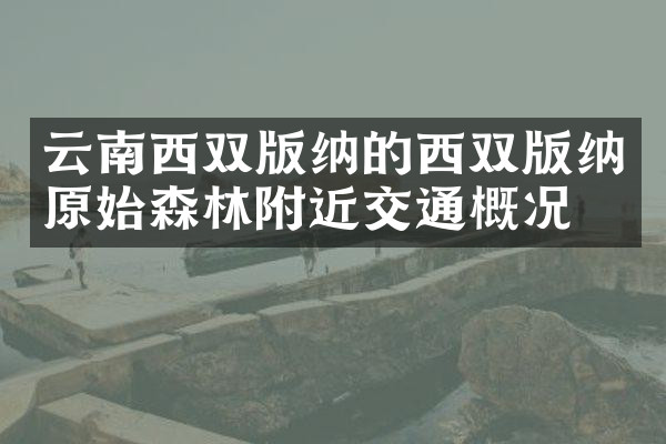 云南西双版纳的西双版纳原始森林附近交通概况