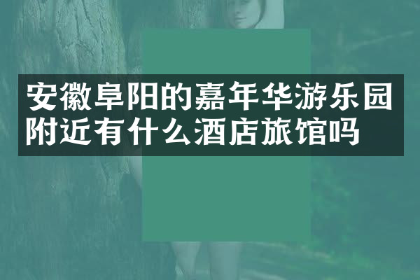 安徽阜阳的嘉年华游乐园附近有什么酒店旅馆吗