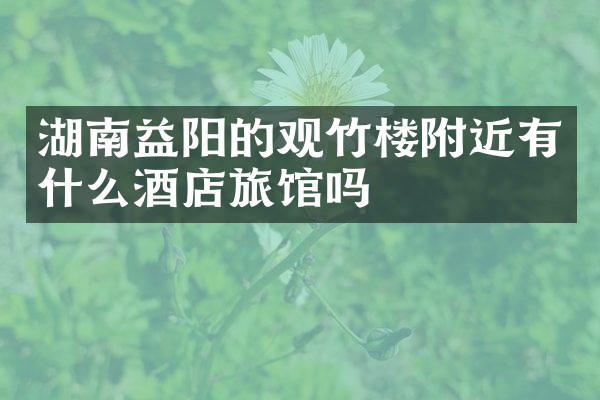 湖南益阳的观竹楼附近有什么酒店旅馆吗