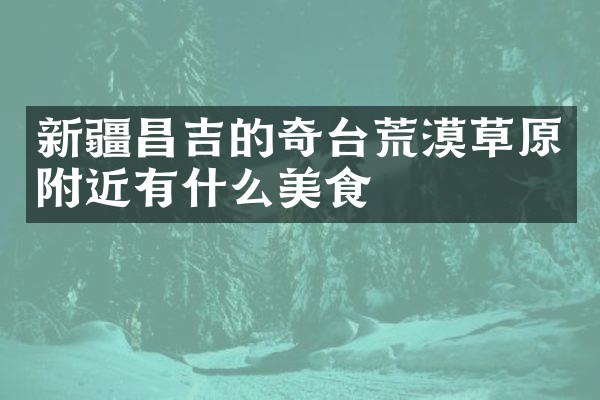 新疆昌吉的奇台荒漠草原附近有什么美食