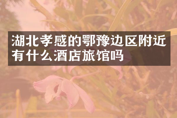湖北孝感的鄂豫边区附近有什么酒店旅馆吗
