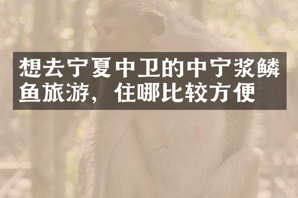 想去宁夏中卫的中宁浆鳞鱼旅游，住哪比较方便